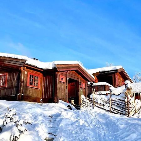 Koselig Familiehytte Pa Vakre Dagali - Naer Geilo Exterior photo