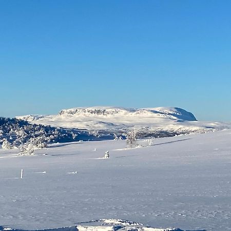 Koselig Familiehytte Pa Vakre Dagali - Naer Geilo Exterior photo