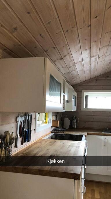 Koselig Familiehytte Pa Vakre Dagali - Naer Geilo Exterior photo