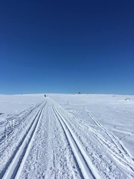 Koselig Familiehytte Pa Vakre Dagali - Naer Geilo Exterior photo