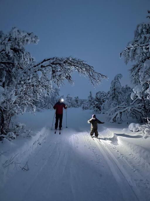 Koselig Familiehytte Pa Vakre Dagali - Naer Geilo Exterior photo
