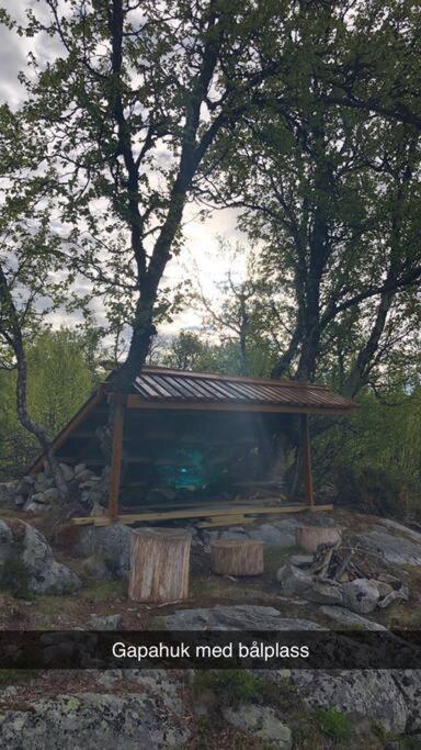 Koselig Familiehytte Pa Vakre Dagali - Naer Geilo Exterior photo