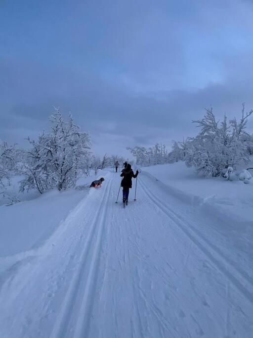 Koselig Familiehytte Pa Vakre Dagali - Naer Geilo Exterior photo