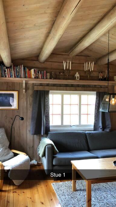 Koselig Familiehytte Pa Vakre Dagali - Naer Geilo Exterior photo
