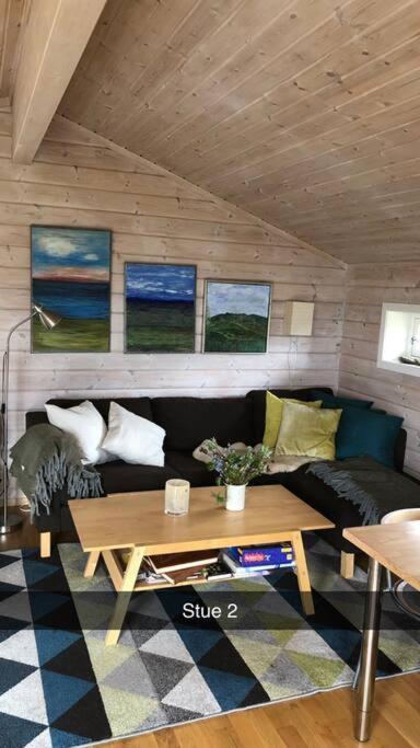 Koselig Familiehytte Pa Vakre Dagali - Naer Geilo Exterior photo