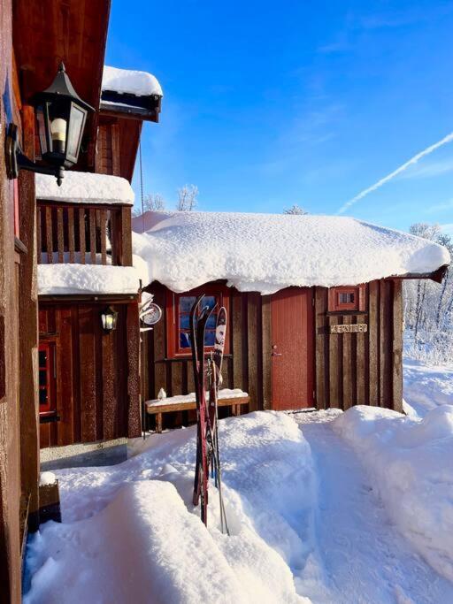 Koselig Familiehytte Pa Vakre Dagali - Naer Geilo Exterior photo