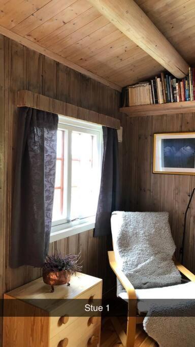 Koselig Familiehytte Pa Vakre Dagali - Naer Geilo Exterior photo