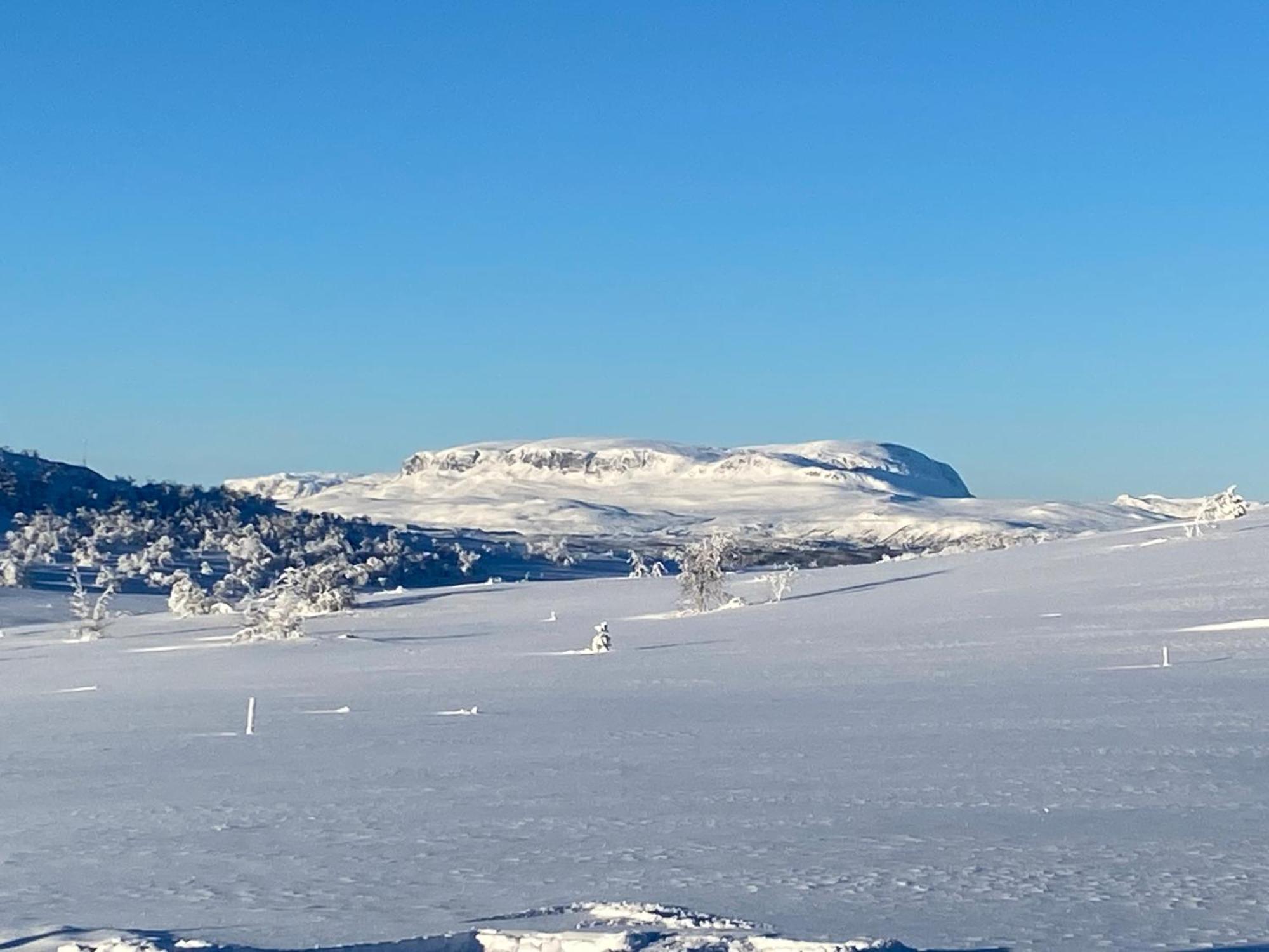 Koselig Familiehytte Pa Vakre Dagali - Naer Geilo Exterior photo