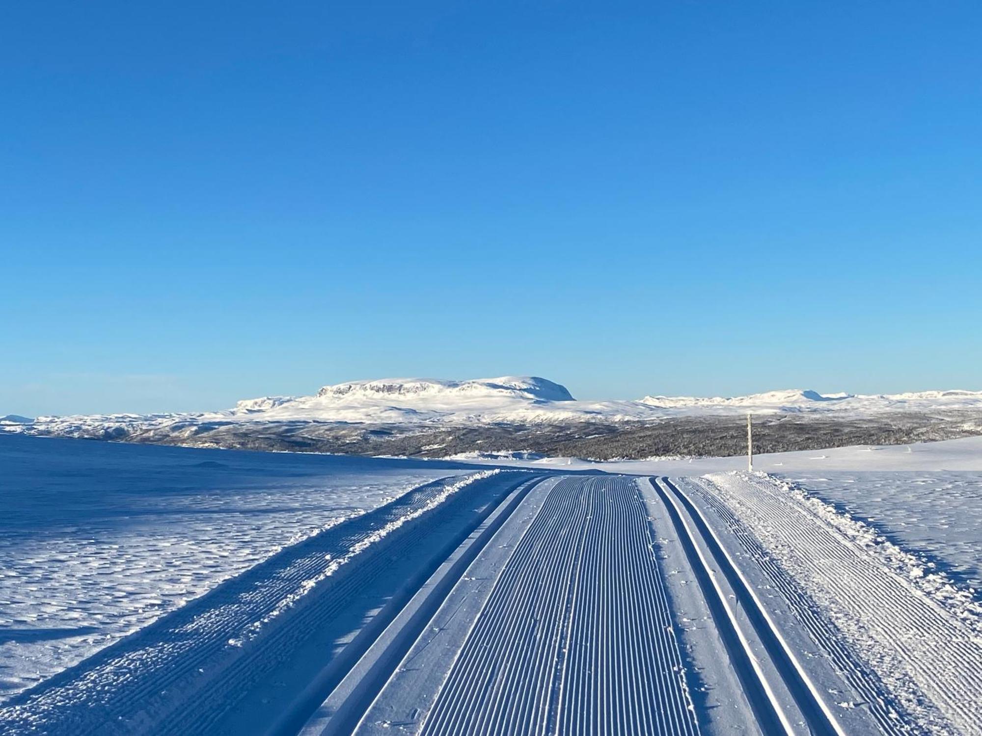 Koselig Familiehytte Pa Vakre Dagali - Naer Geilo Exterior photo